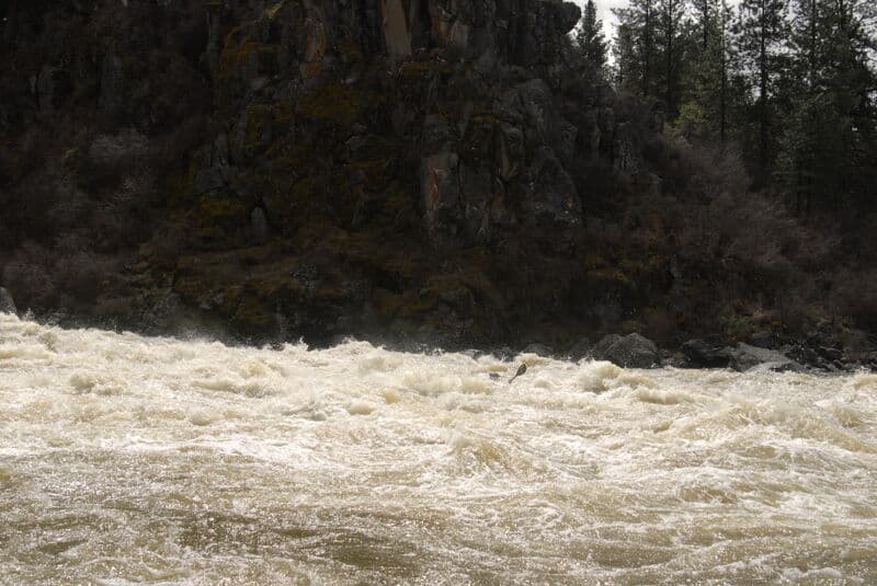 High Spring Run