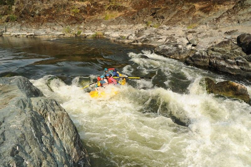 Trench Rapid