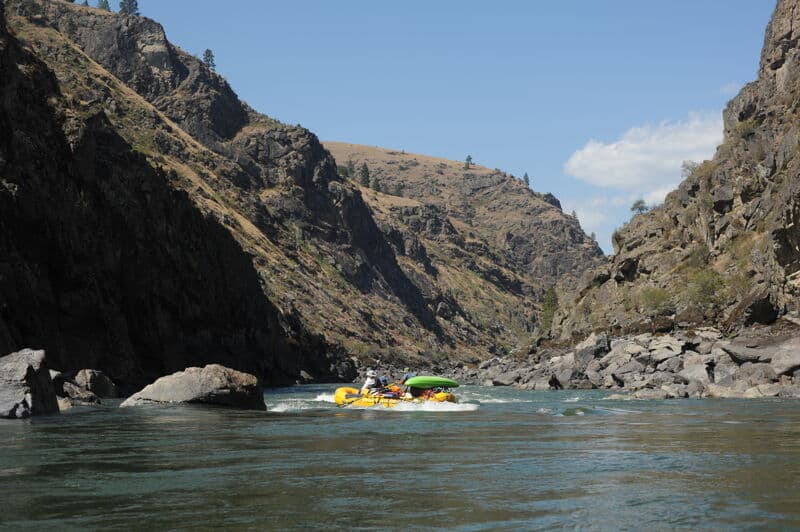 Bodacious Bounce Rapid