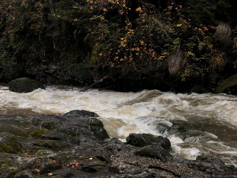 Fish Ramp Rapid 