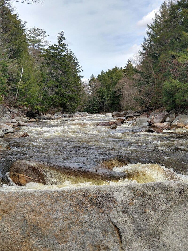 Roadside Rapid