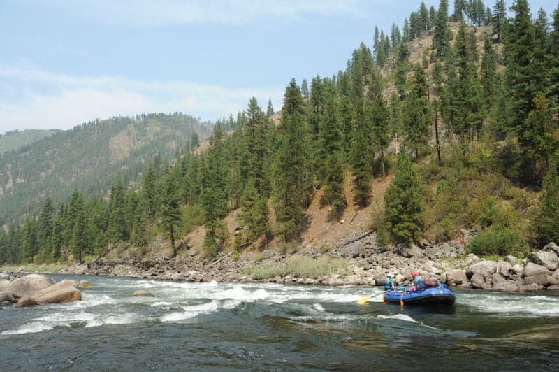 Bailey Rapid
