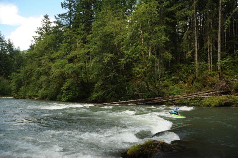 Cispus River Trip