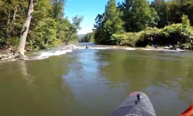"Piney Swamp Run"