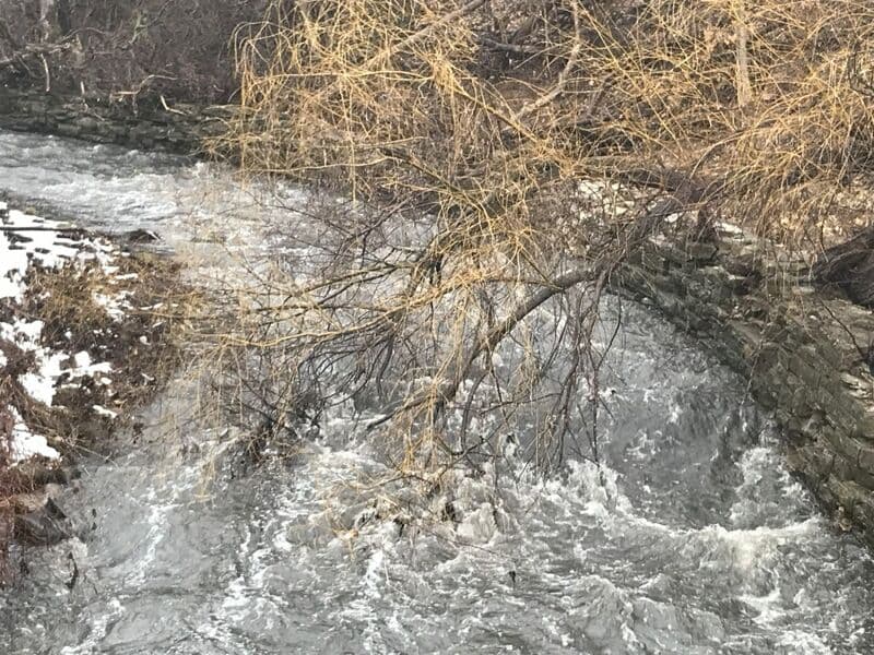 Parkway Bridge Wave (PBW)