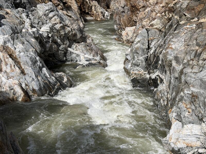 Winter Rain 2026 @ 1400 cfs 