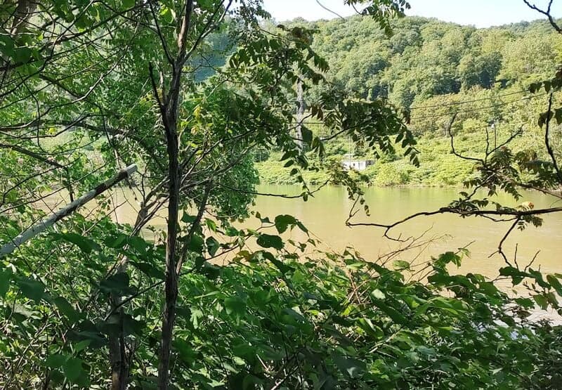 Westvaco dam