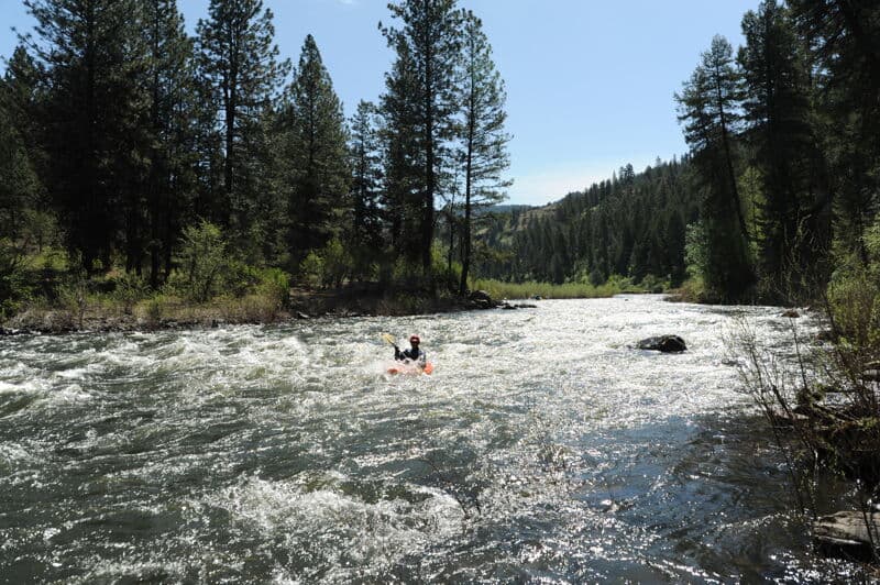 Chainsaw Rapid