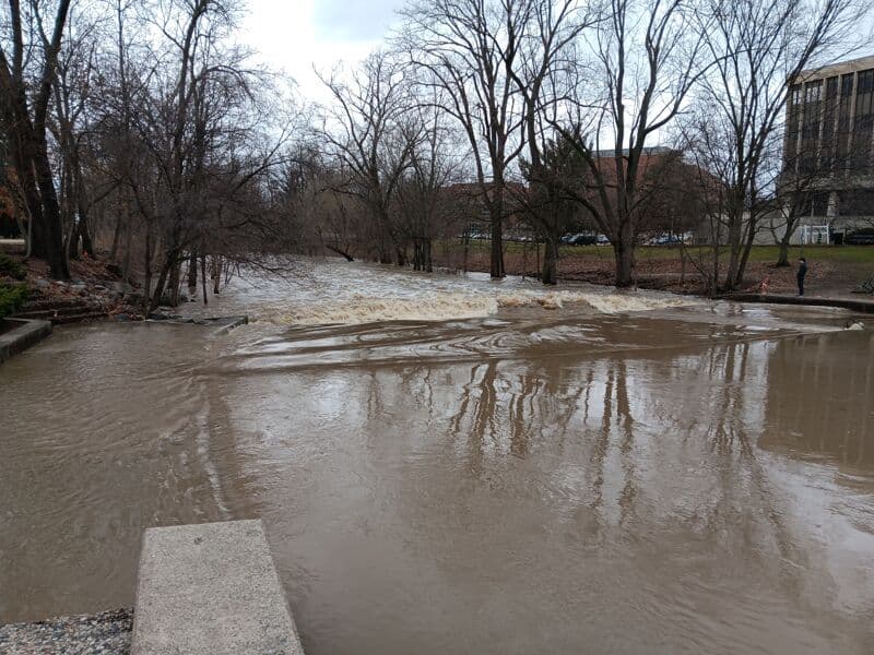 MSU Wave at 1330 cfs