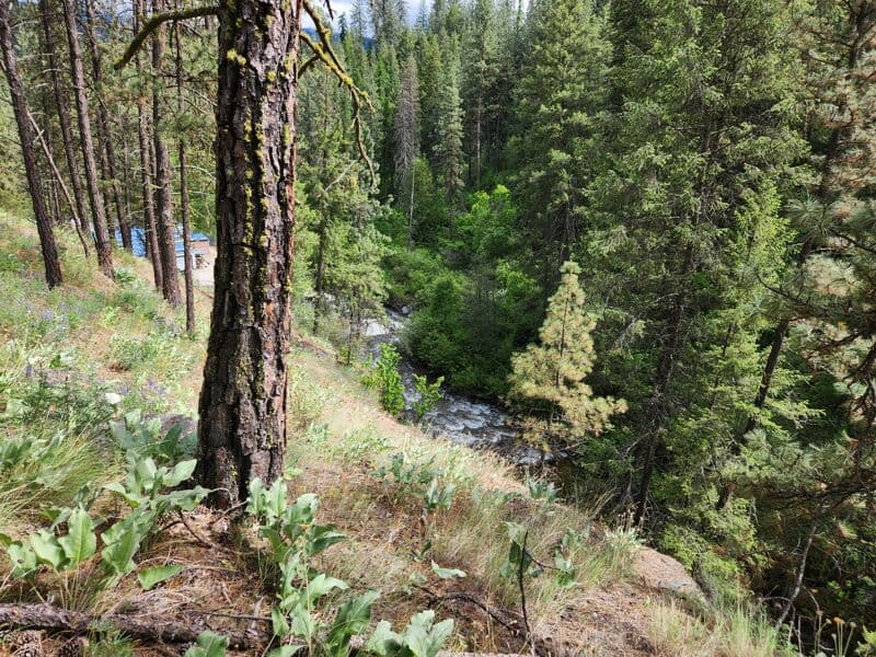 Fish Hatchery Dam
