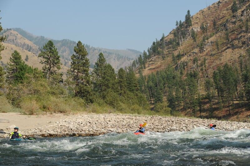 Lantz Rapid