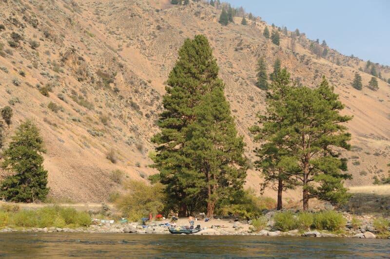 Camas Creek Camp (RR)