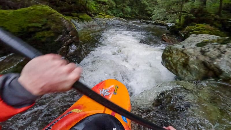 Fishy Fishy creek