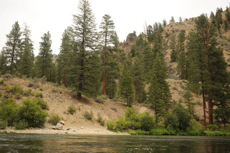Lost Oak Camp (RL)