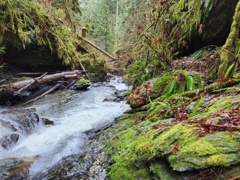 Fish Ladder Gorge