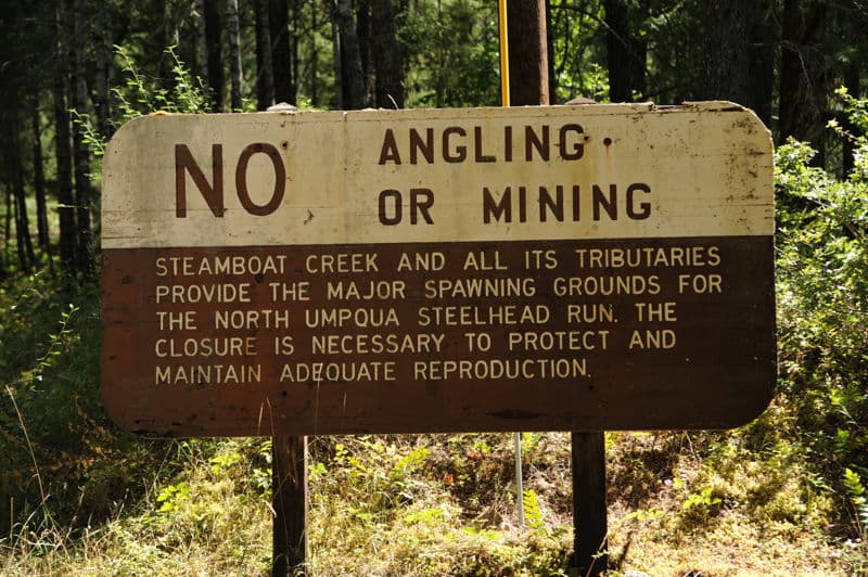 Steamboat Creek Signs