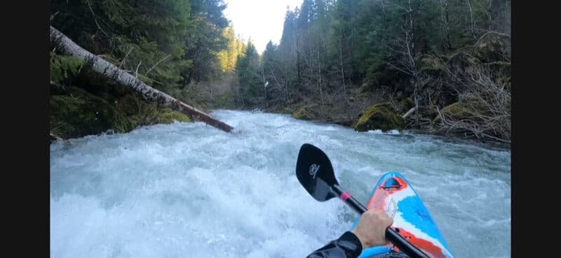 First Rapid