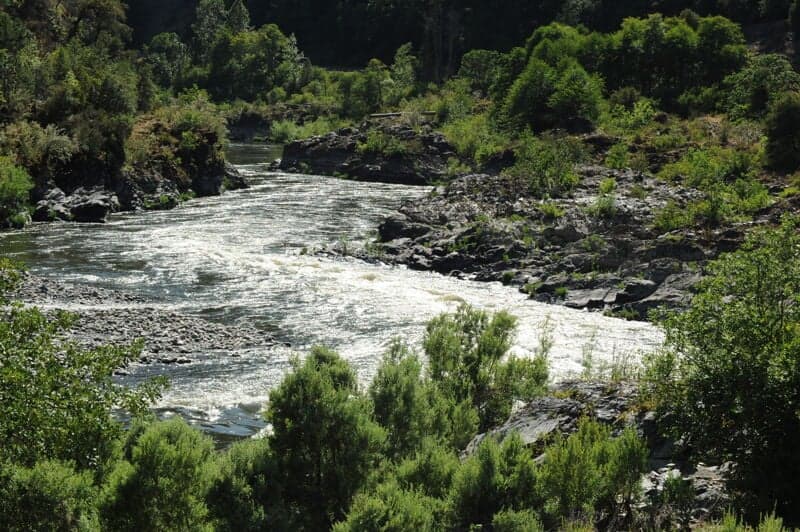 Wingate Rapid