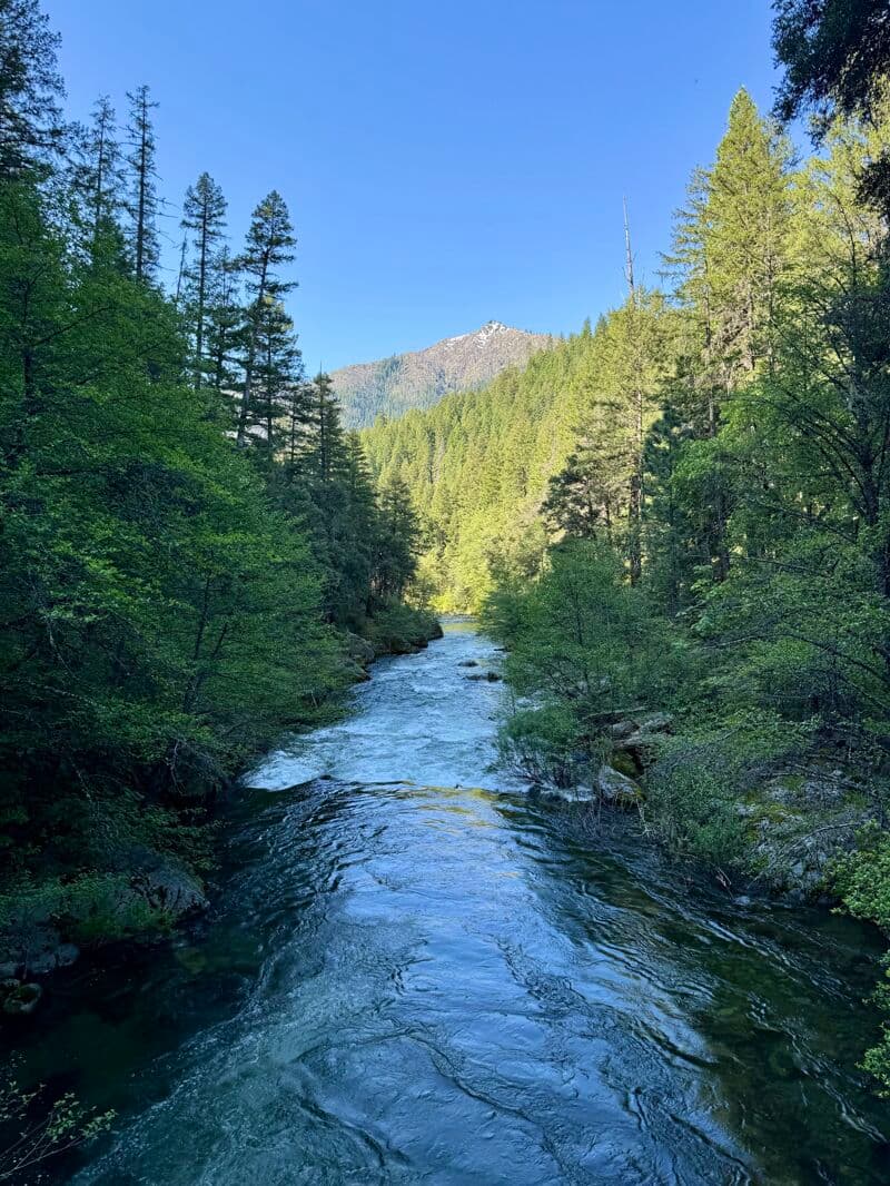 Mule Bridge River Access