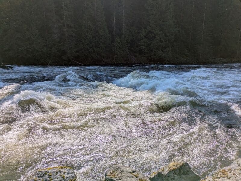 Trip report photo