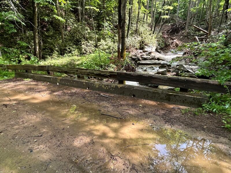 Put In at New Years Creek Bridge