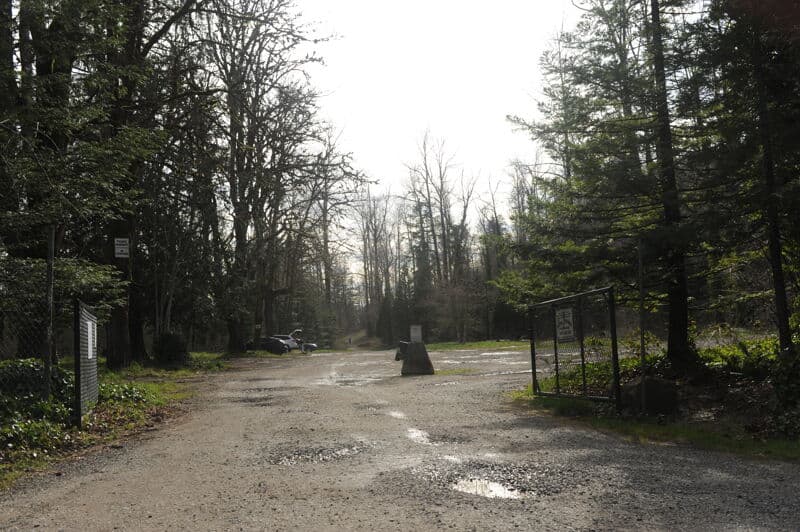 Paradise Access, Mid Gorge, river right
