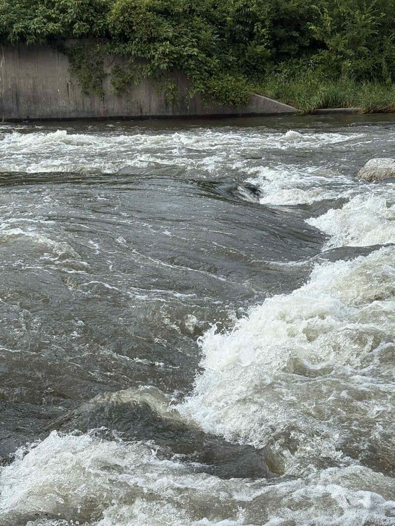Pictures of 1000 CFS At the Ames Playpark