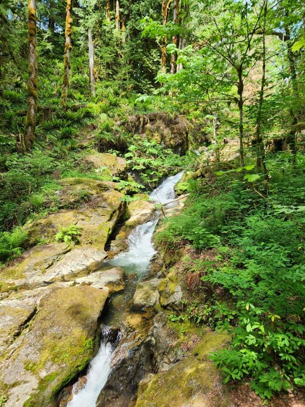 Maple Falls at very low flow
