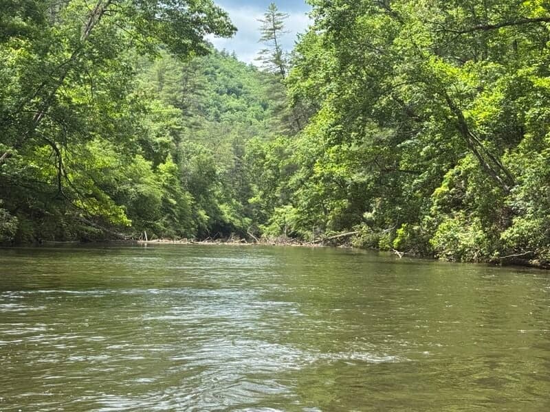 Chattooga Sec 2 Strainer