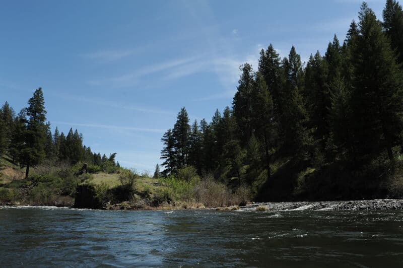 Tollbridge Campground