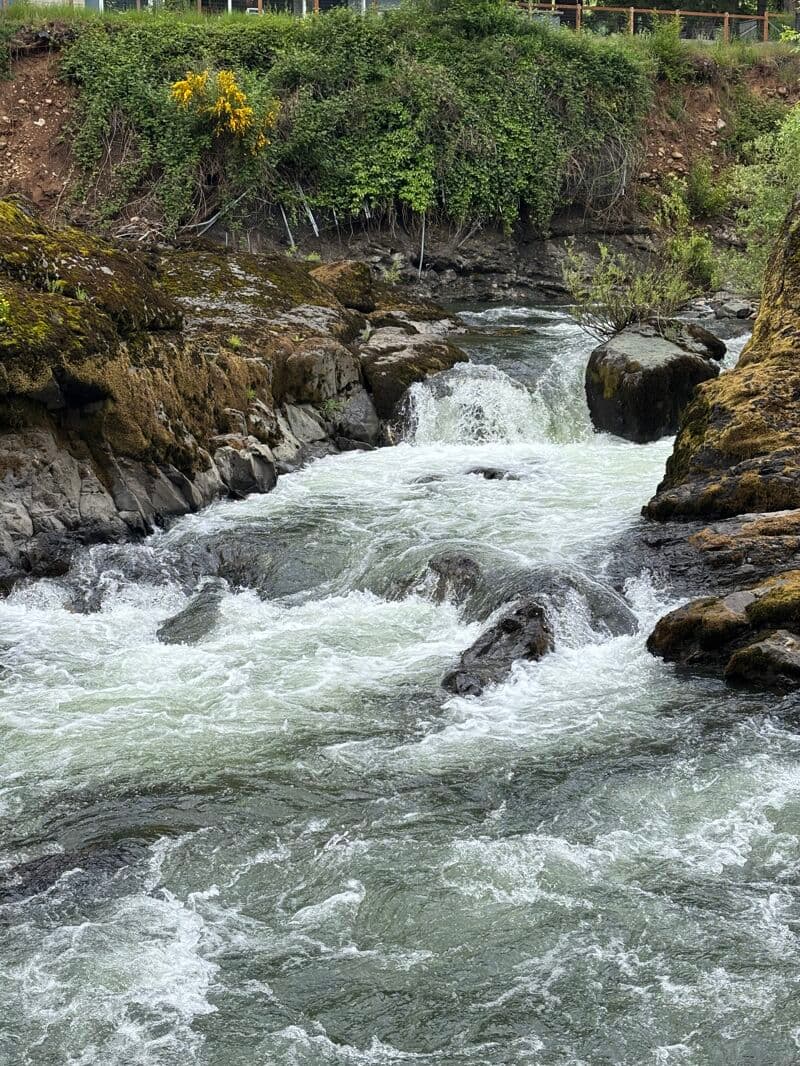 Upper Row (Wildwood to Covered Bridge)