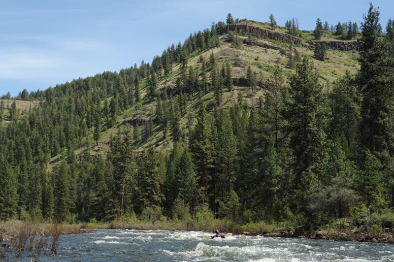 Lower Bridge Rapid