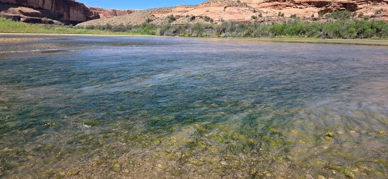 Grandstaff Campground to take out at Hwy. 191 - The Moab Daily