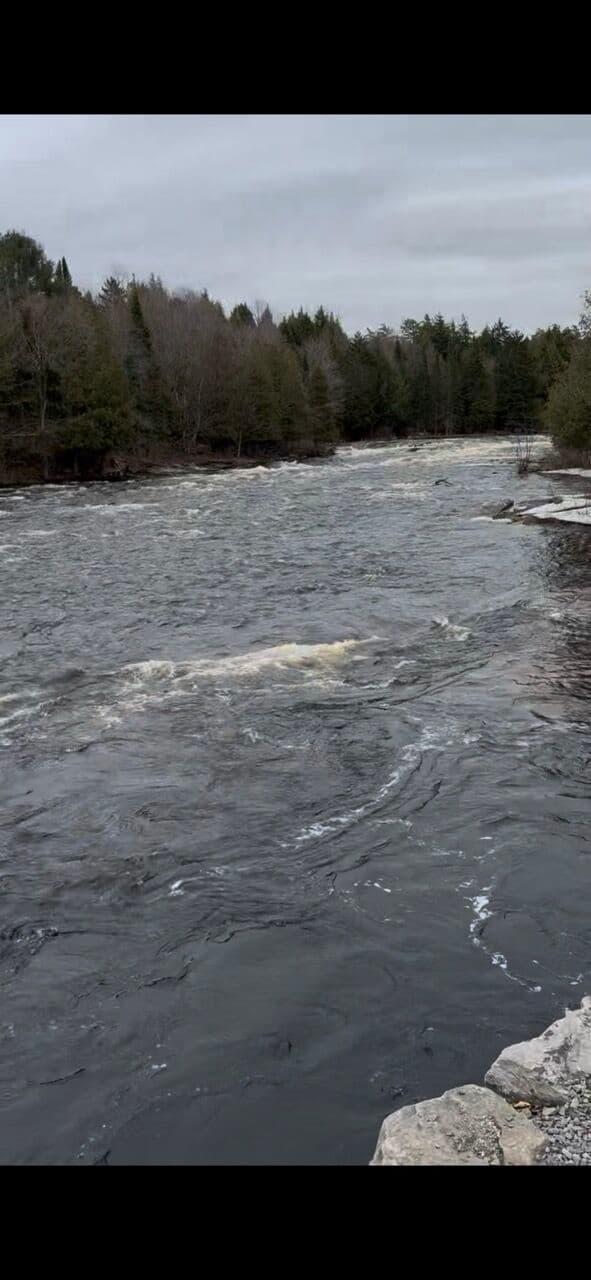 Bridge Rapid