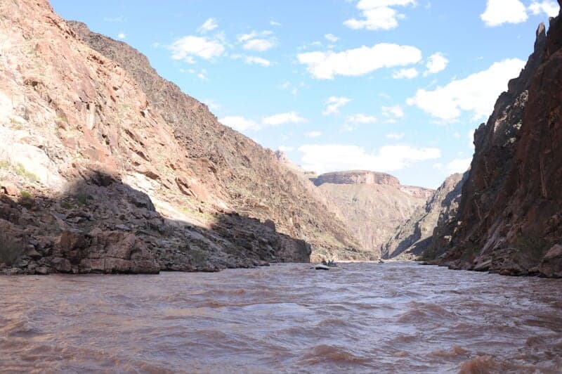 Zoroaster Rapid (5)