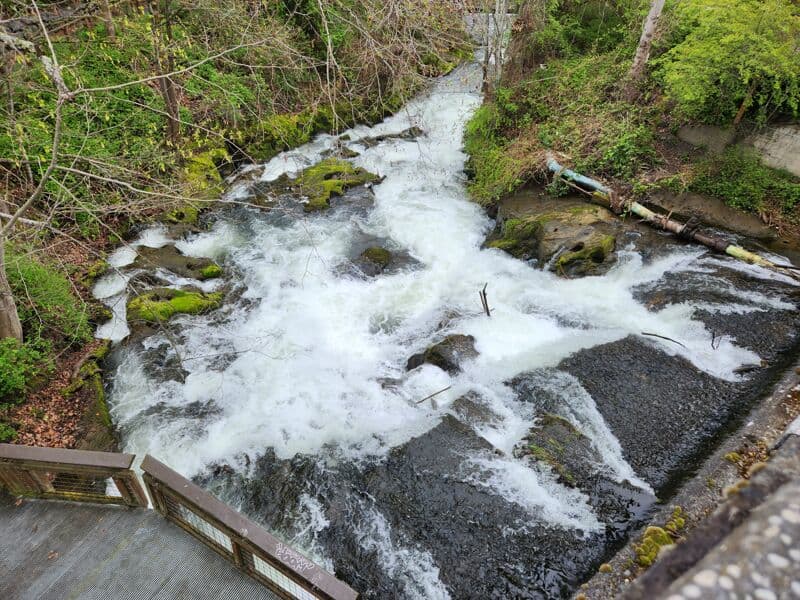 Cascades from the top