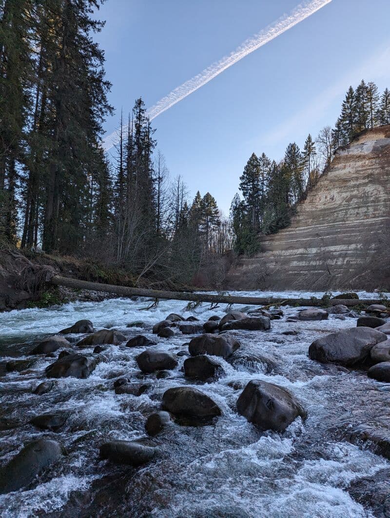 Tree Across Entire Channel at "Rt wall cave and pillow rapid (Cat Trap)"