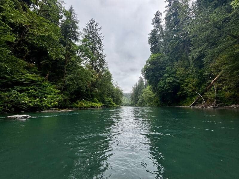 South fork put in to Hoh Oxbow campground