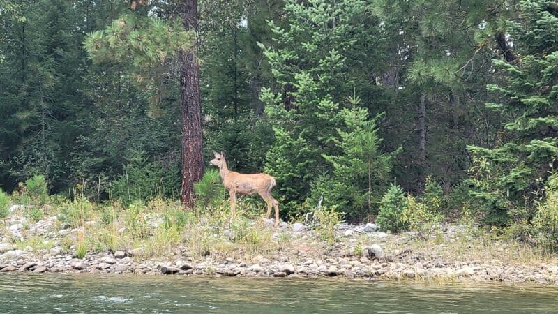 Trip report photo
