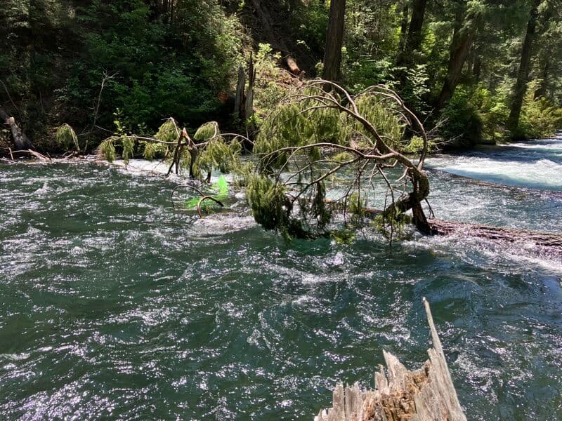 Trip report photo