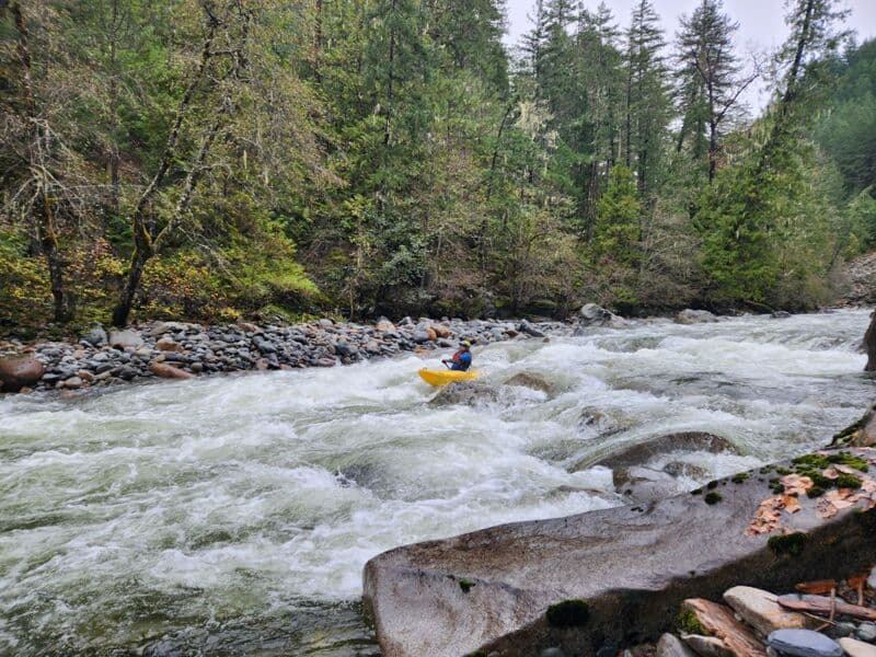 Some of the Final Rapids 