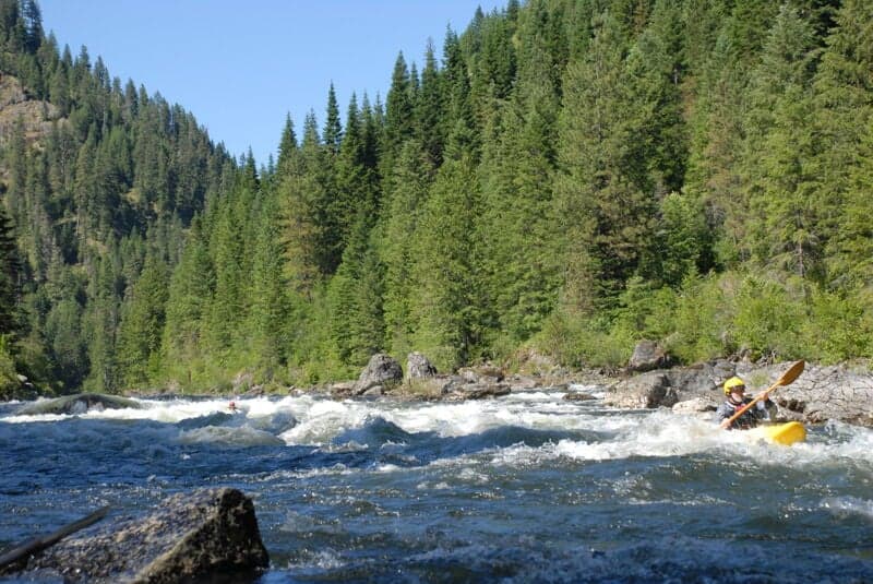 Old Man Rapid