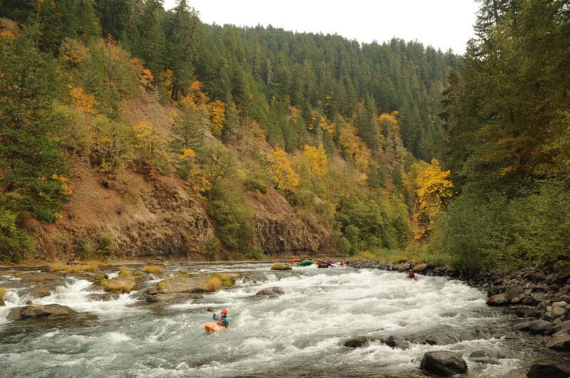 River Management Society field trip