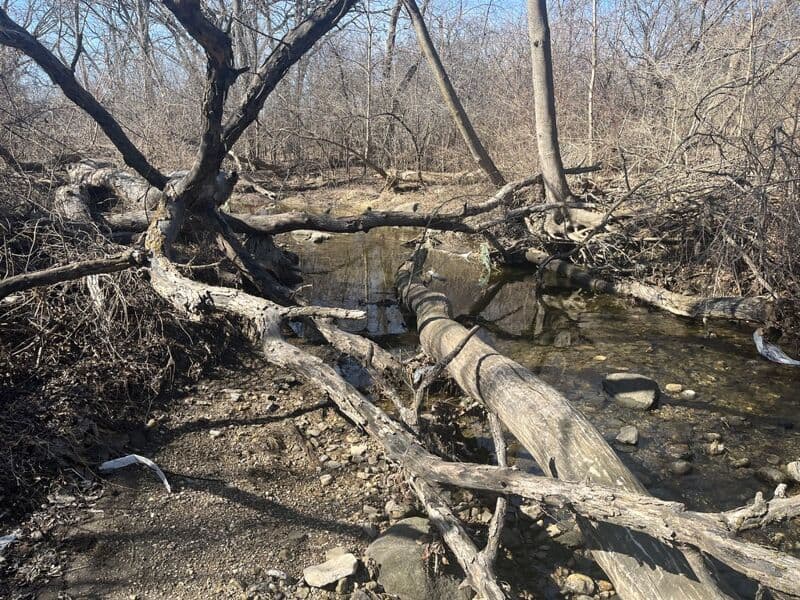 A few low-water scouting photos