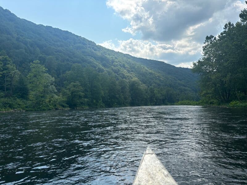 Bolivar to Blairsville: Packsaddle Gap