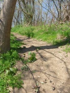 Cohill Station River Access