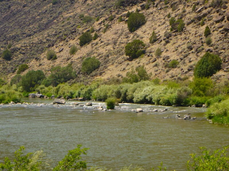 Gauging Station Rapid