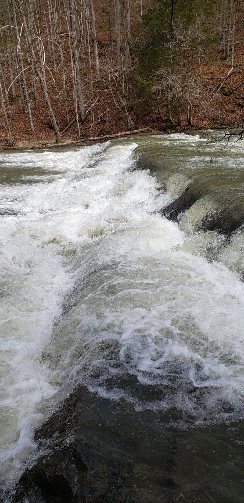 Spring Falls