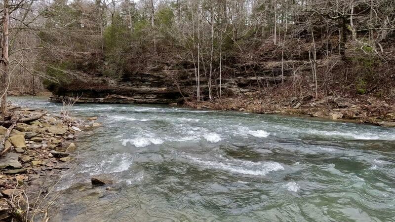 Leaf Hole Rapid