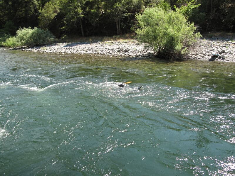 Summer Downtime at Fong Wah - 1080 cfs